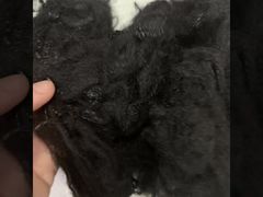 เส้นใยกลวง 2D รีไซเคิลพื้นเมือง 2.5D*64 มม