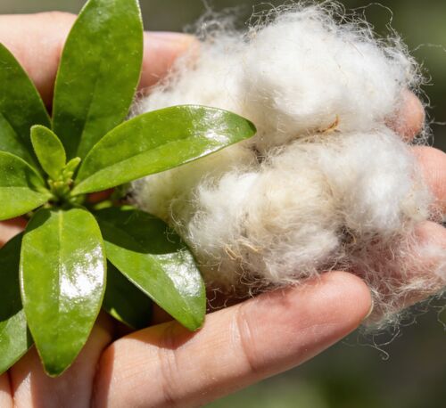 ข่าวล่าสุดของบริษัทเกี่ยวกับ สายใยขุมสีดําและขาว: การเลือกสําหรับการผลิตผ้าและอุตสาหกรรม