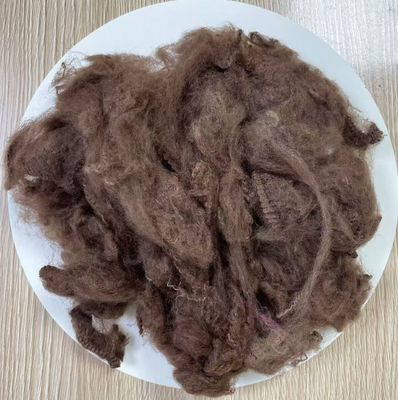 ราคาดี ไฟเบอร์สเตปลพอลิเอสเตอร์รีไซเคิล 2.5D 51mm กาแฟดํา ออนไลน์