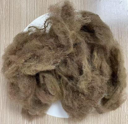 ราคาดี เส้นใยสั้นโพลีเอสเตอร์รีไซเคิลแบบยืดตัวต่ำ 25D 65mm สี Deep Camel ออนไลน์