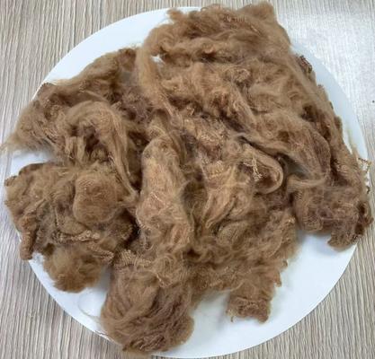 ราคาดี เส้นใยโพลีเอสเตอร์รีไซเคิลชนิดสั้น 1.5D 38 มม. สี Light Camel ออนไลน์