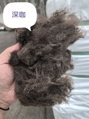 ราคาดี เส้นใยโพลีเอสเตอร์รีไซเคิลชนิดสั้น 3D 51 มม. สีเข้มกาแฟ ออนไลน์