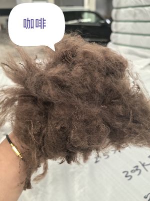 ราคาดี สายใยพอลิเอสเตอร์รีไซเคิล 3D ขนาด 51 มิลลิเมตร ไม่ซิลิคอน ออนไลน์