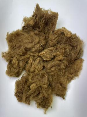 ราคาดี Recycled Polyester Staple Fiber 1.5D Yellow Brown with 0.2% Oil Content for High Durability ออนไลน์