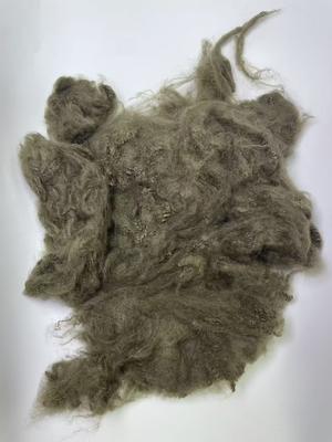 ราคาดี 1.5D Recycled Polyester Staple Fiber with 255-265℃ Melting Point and 32mm-102mm Cut Length for High Durability ออนไลน์